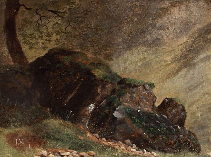 Study of rocks and trees near Sixt